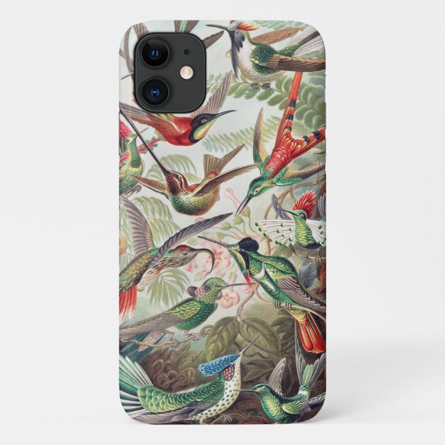 Hummingbird, Trochilidae Kolibris by Ernst Haeckel Case-Mate iPhone Case (Back)