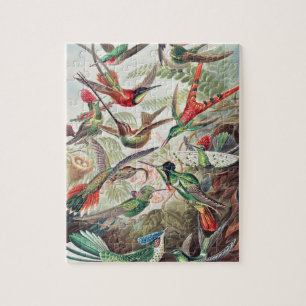 Hummingbird, Trochilidae Kolibris by Ernst Haeckel Jigsaw Puzzle