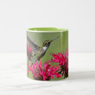 Hummingbird Two-Tone Mug