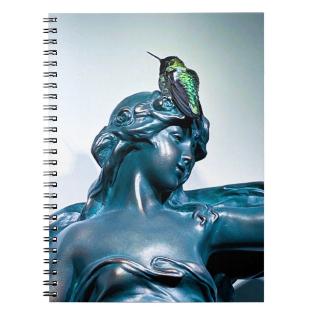 hummingbird view notebook (Front)