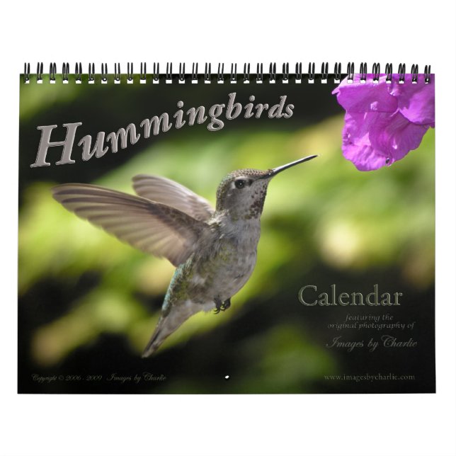 Hummingbird Wall Calendar (Cover)