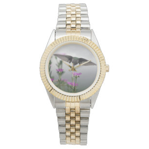 Hummingbird Watch
