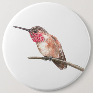Hummingbird watercolor 6 inch round button
