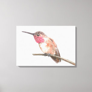 Hummingbird watercolor canvas print