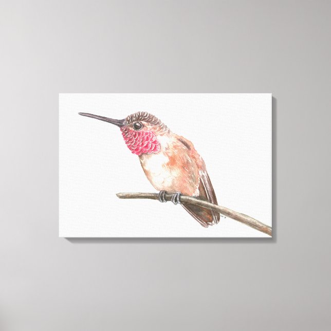 Hummingbird watercolor canvas print (Front)