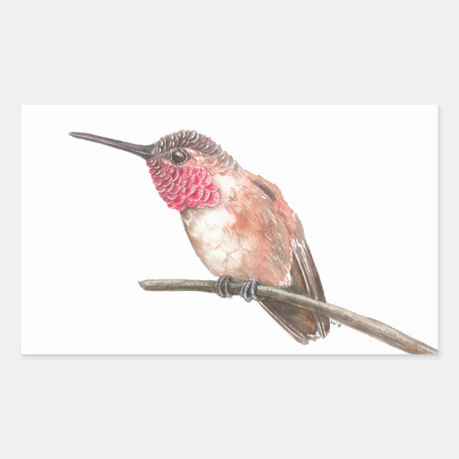 Hummingbird watercolor sticker (Front)