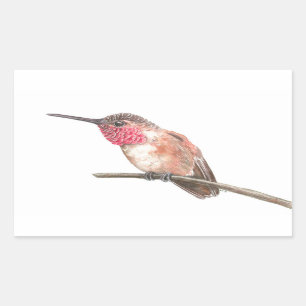 Hummingbird watercolor sticker
