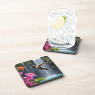 Hummingbird Waterfall Park, Coaster