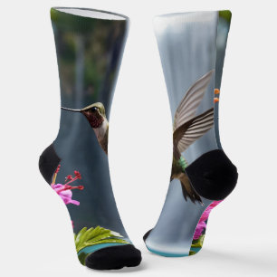 Hummingbird Waterfall Park,  Socks