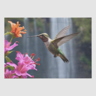 Hummingbird Waterfall Park, Tissue Paper