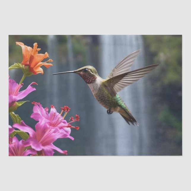 Hummingbird Waterfall Park,  Tissue Paper (Front)