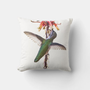 Hummingbird wings throw pillow