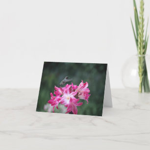 Hummingbird with belladonna lilies card