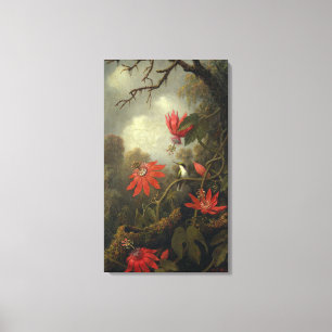 Hummingbird With Passion Flowers Canvas Print