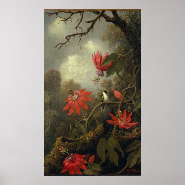 Hummingbird With Passion Flowers Poster (Front)