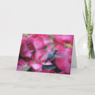 Hummingbird with poinsettia background card