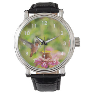 Hummingbird with Zinnia Flower Watch