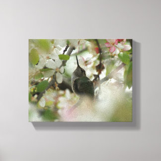 Hummingbird Wrapped Canvas