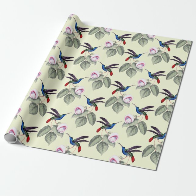Hummingbird Wrapping Paper (Unrolled)