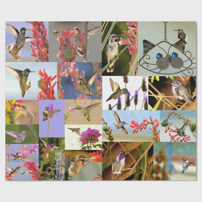 Hummingbird Wrapping Paper (Flat)