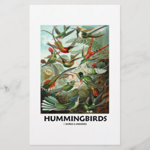 Hummingbirds