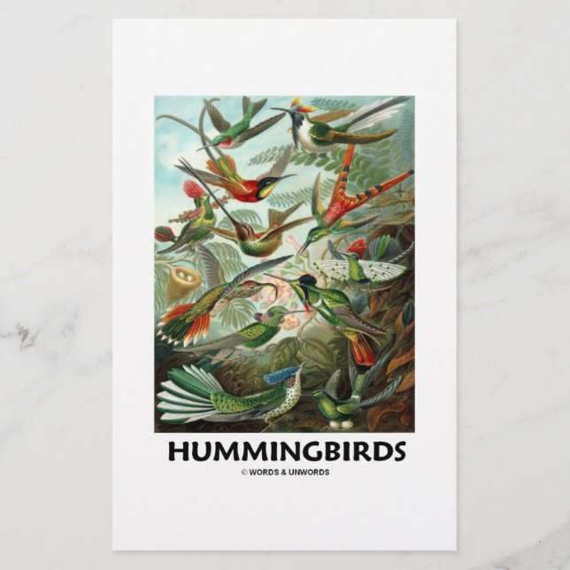 Hummingbirds (Front)