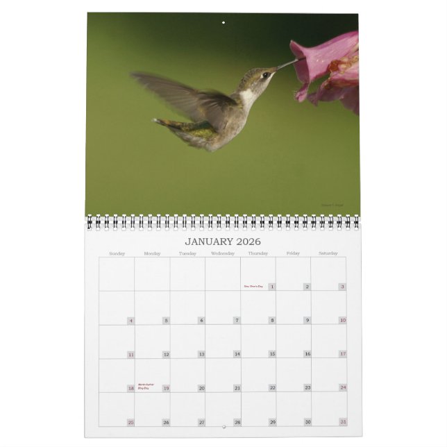 Hummingbirds - 2010 calendar (Jan 2026)