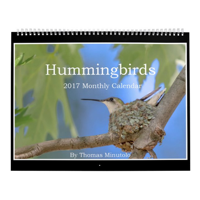 Hummingbirds 2017 Monthly Calendar By Tom Minutolo (Cover)
