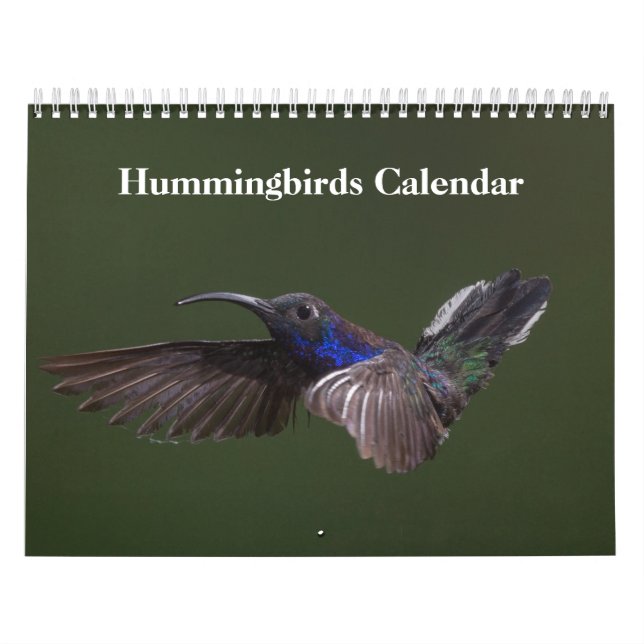 Hummingbirds 2026 calendar (Cover)