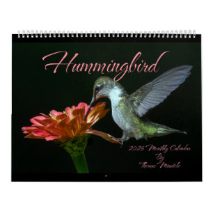 Hummingbirds 2026 Monthly Calendar By Tom Minutolo