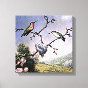 Hummingbirds and Apple Blossoms, Canvas Print
