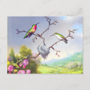 Hummingbirds and blossoms art  postcard