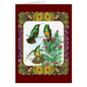 Hummingbirds and Flowers #1