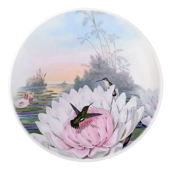 Hummingbirds and Lotus Ceramic Knob (Front)