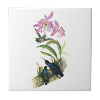 Hummingbirds and Pink Orchids Tile
