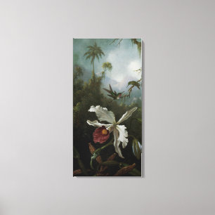 Hummingbirds and White Orchid by Martin J. Heade Canvas Print