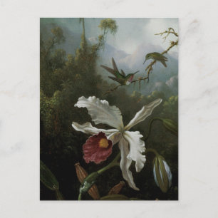 Hummingbirds and White Orchid by Martin J. Heade Postcard