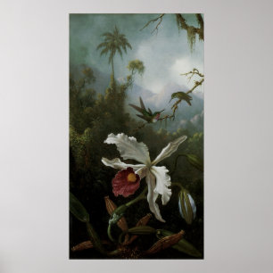 Hummingbirds and White Orchid by Martin J. Heade Poster
