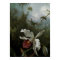 Hummingbirds and White Orchid by Martin J. Heade