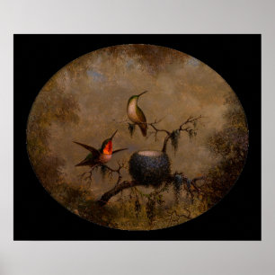 Hummingbirds bird nest victorian heade painting poster