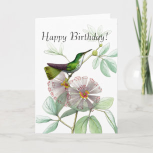 Hummingbirds Birds Flowers Floral Animals Wildlife Card