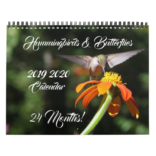 Hummingbirds & Butterflies 2019 Calendrier 2020 (Protection)