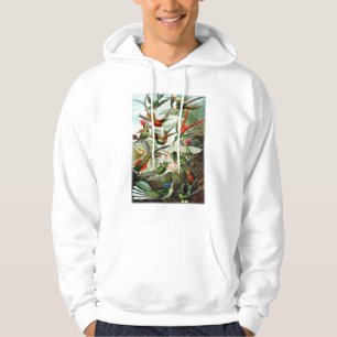 Hummingbirds by Ernst Haeckel (6) Hoodie