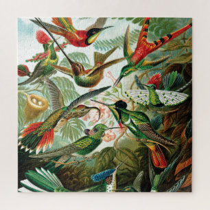 Hummingbirds by Ernst Haeckel Jigsaw Puzzle
