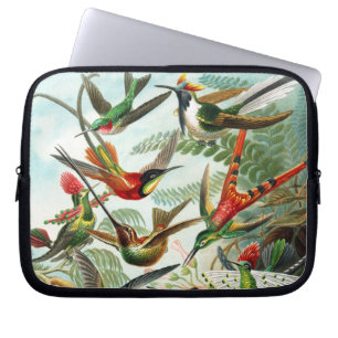 Hummingbirds by Ernst Haeckel Laptop Sleeve