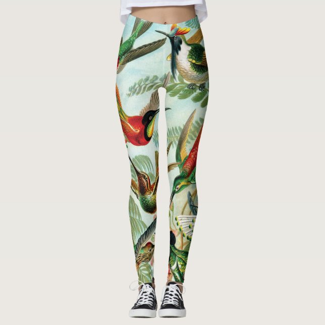 Hummingbirds by Ernst Haeckel Leggings (Front)