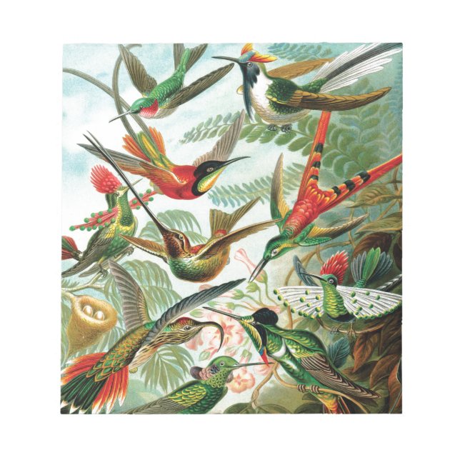 Hummingbirds by Ernst Haeckel Notepad (Front)