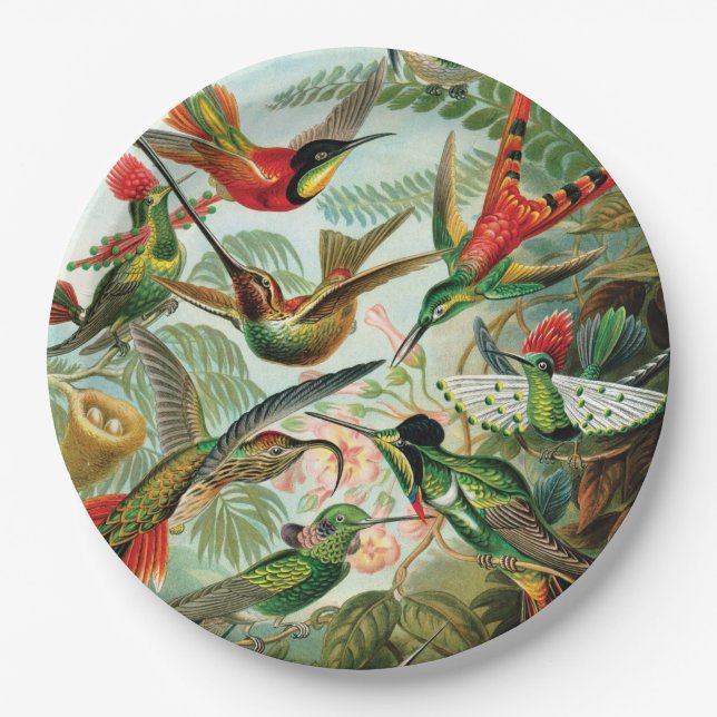 Hummingbirds by Ernst Haeckel Paper Plate (Front)