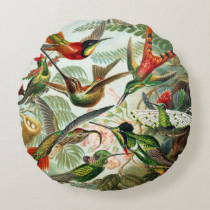 Hummingbirds by Ernst Haeckel Round Pillow