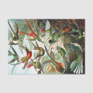 Hummingbirds by Ernst Haeckel  Tissue Paper